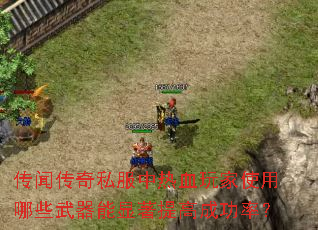 ���Ŵ���˽������Ѫ���ʹ����Щ������������߳ɹ��ʣ�