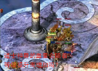 ��ʿ���޵�Ѫ�������ŵȼ�������������