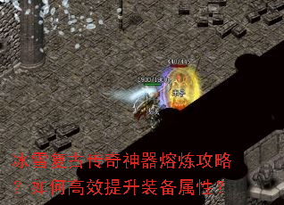 ��ѩ���Ŵ��������������ԣ���θ�Ч����װ�����ԣ�