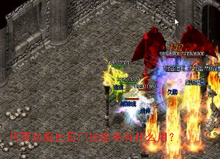 ����˽�������ż�������ʲô�ã�