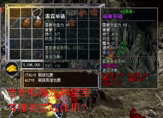 ����˽����ʦ��������Щʵս���ã�