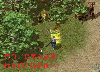 ����sf��װ�����������ѡ�����Ż���