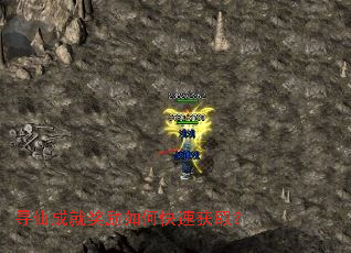 Ѱ�ɳɾͽ�����ο��ٻ�ȡ��