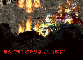 ��������ι��Գ���������