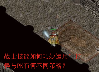 սʿ��������������ã������PK�кβ�ͬ���ԣ�