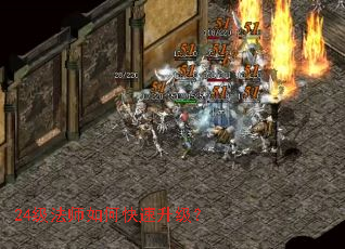 24����ʦ��ο���������