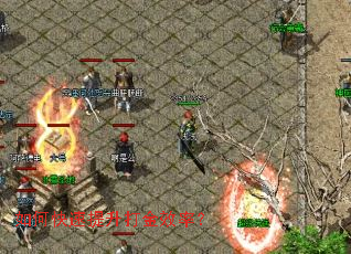 ��ο����������Ч�ʣ�