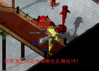 �����ʿPKսʿ����Щʵ�ü��ɣ�