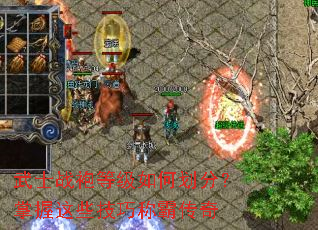 ��ʿս�۵ȼ���λ��֣�������Щ���ɳưԴ���