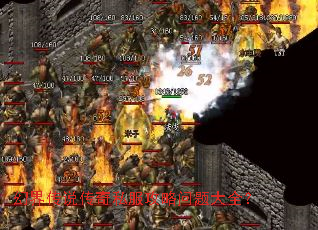 �ý紫˵����˽�����������ȫ��