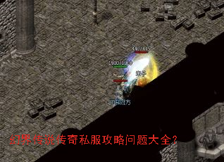 �ý紫˵����˽�����������ȫ��