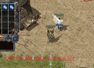 ���������Ϸ�����ۺ�ƪ��ô�棿