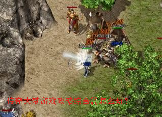 ���������Ϸ�����ۺ�ƪ��ô�棿