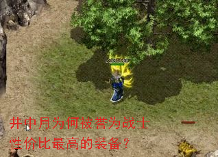 井中月为何被誉为战士性价比最高的装备? 井中月为何被誉为战士性价比最高的装备?