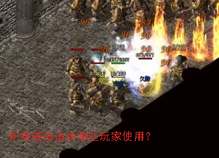 ������ָ�ʺ���Щ���ʹ�ã�