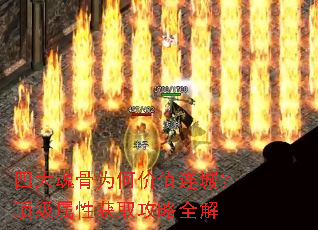 四大魂骨为何价值连城?顶级属性获取攻略全解 四大魂骨为何价值连城?顶级属性获取攻略全解