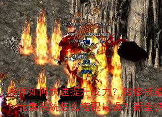 ������ο�������ս�������޼�������Щ����Ч����Ԫ��ϵͳ��ô������ǿ���������ָ���λ�ȡ��