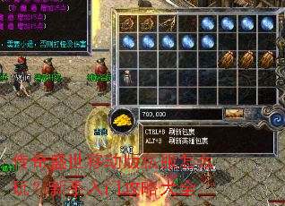 ����ʢ���ƶ���˽����ô�棿�������Ź��Դ�ȫ