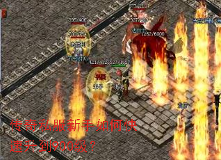 ����˽��������ο�������900����