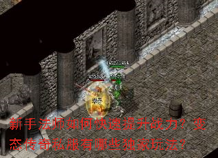 ���ַ�ʦ��ο�������ս������̬����˽������Щ�����淨��