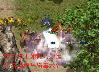 �����ʿ������������ٻ�����ʩ������