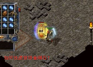 ��ο��ٻ�ý��ʯ��