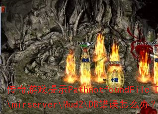 ������Ϸ��ʾPathnotfoundFile-D:\mirserver\Mud2\DB������ô�죿