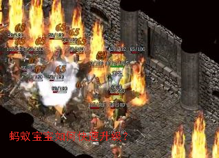 ���ϱ�����ο���������