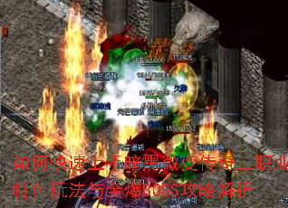 ��ο������ְ���΢�䴫����ְҵ����ɫ�淨��ȫ��BOSS���Խ���