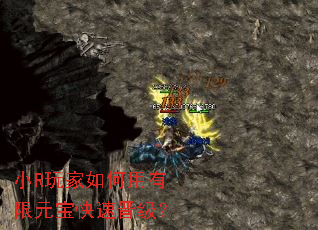 СR������������Ԫ�����ٽ�����