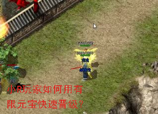 СR������������Ԫ�����ٽ�����