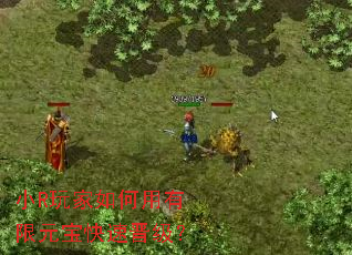 СR������������Ԫ�����ٽ�����