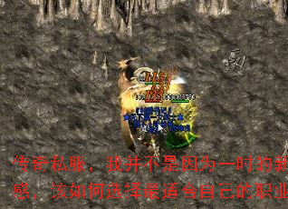 ����˽�����Ҳ�������Ϊһʱ�����ʸУ������ѡ�����ʺ��Լ���ְҵ��