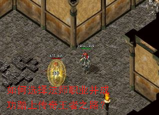 ���ѡ��ʦְҵ���ɹ�̤�ϴ�������֮·��