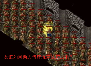 �����������������ҿ��ٳɳ���