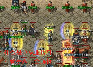 ʲô�ǵ�ְҵ���棿��������ȫ����