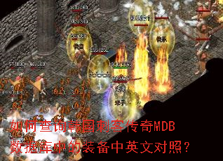 ��β�ѯ�����̿ʹ���MDB���ݿ��е�װ����Ӣ�Ķ��գ�