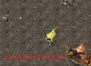 ��γɹ��ҳ����������������