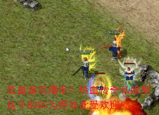 ��Ѫ���߱��ʣ���Ѫ����˽�������BOSSΪ������ܻ�ӭ��