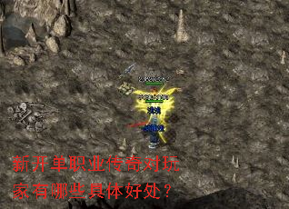 新开单职业传奇对玩家有哪些具体好处? 新开单职业传奇对玩家有哪些具体好处?