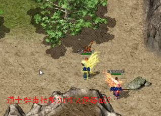 道士群毒技能如何快速练成? 道士群毒技能如何快速练成?