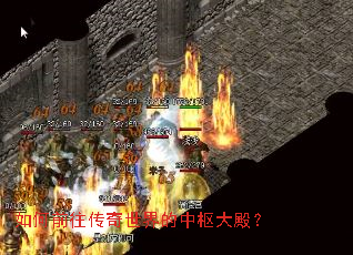 ���ǰ����������������