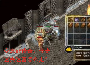 ��̬sf���棺������ʧ�Թ���ô�ߣ�