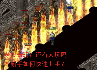 �ϴ������ڻ���������������ο������֣�