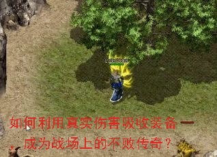 ���������ʵ�˺�����װ������Ϊս���ϵĲ��ܴ��棿