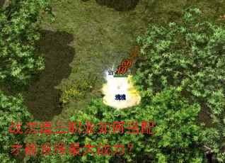 ս������ְҵ��δ�����ܷ������ս����