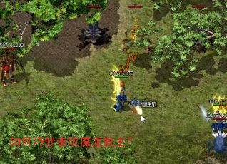 ����������ħ��������