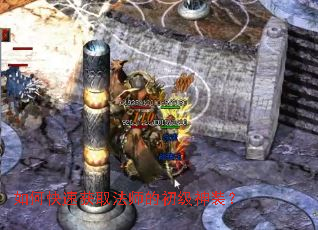 ��ο��ٻ�ȡ��ʦ�ĳ�����װ��