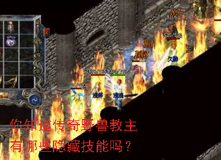 你知道传奇野兽教主有哪些隐藏技能吗? 你知道传奇野兽教主有哪些隐藏技能吗?