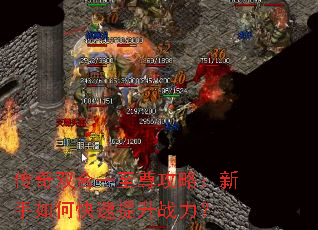 ����˫��һ�����ԣ�������ο�������ս����